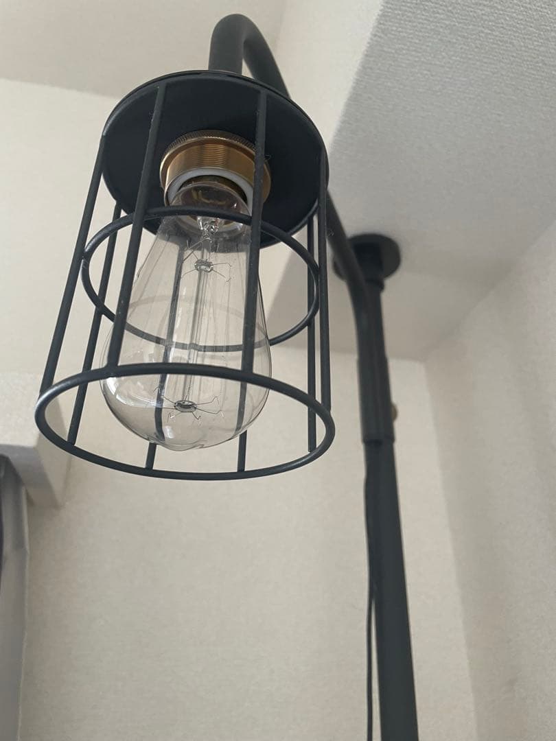 DRAW A LINE 照明セット200-275cm