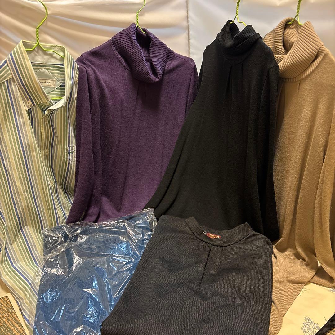 青いスミレ　おまとめ6点