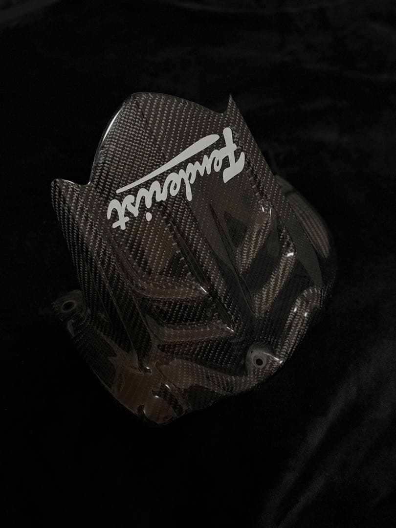 ZX6R CLEVER WOLF リアフェンダー