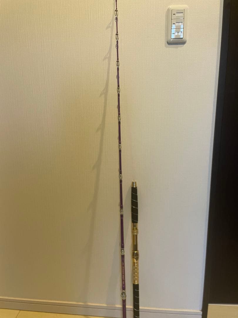 （ゆう）青物、泳がせ、中深場船竿