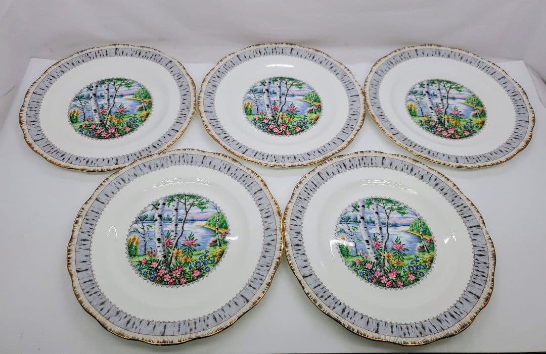 ①ロイヤル アルバート Silver Birch プレート　大皿　5枚　26cm