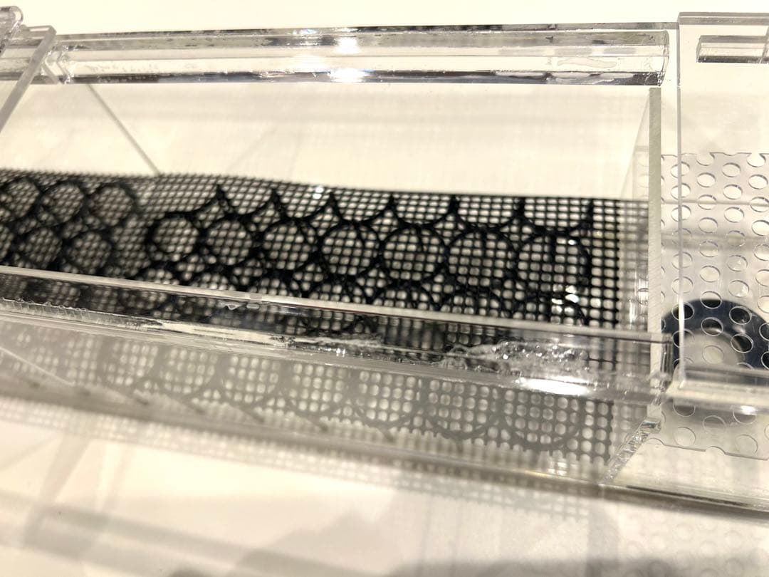 W450ガラス水槽20Lアクアリウム水槽アクアポニックス（観葉植物）仕様