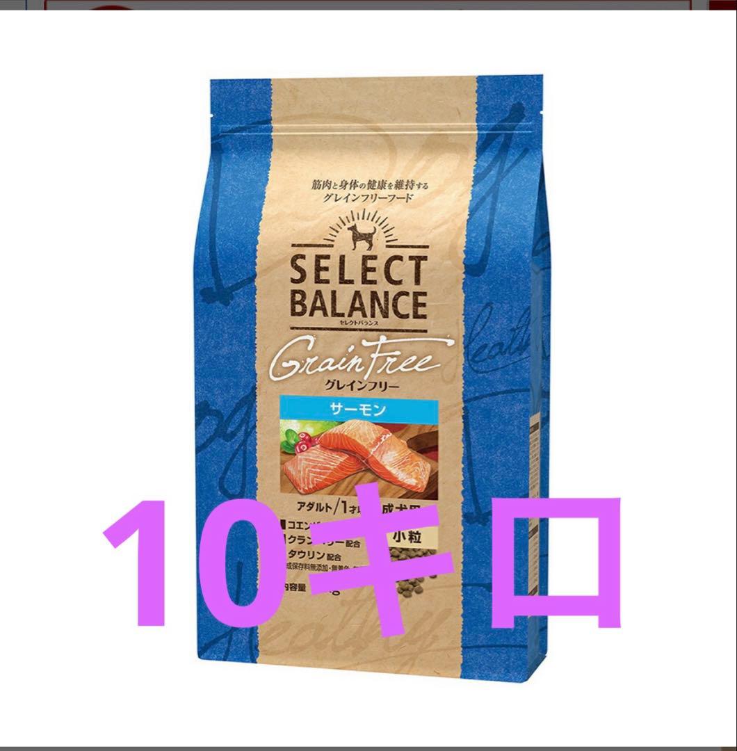 みんみんさん専用！セレクトバランスサーモン 10kg✖️2