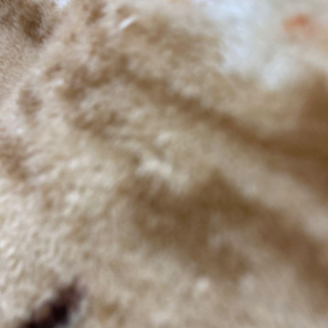 餌木猿スーパーシャロー 3.5号 3個セット