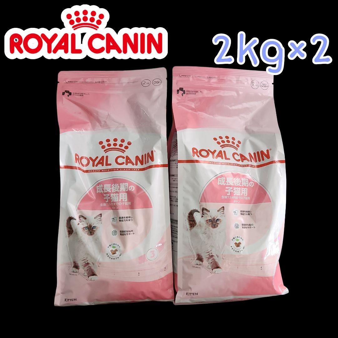 新品　ロイヤルカナン　猫　子猫前期　成長前期の子猫用　2kg×2袋セット　キトン