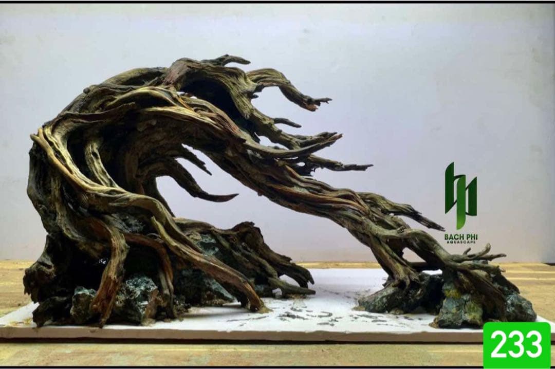 TTD 233 【⭐︎ ジルベール様⭐︎】【美品・数量限定】