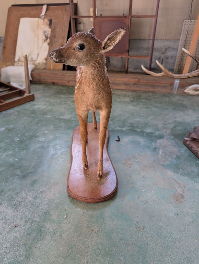 シカの置物 約30cm