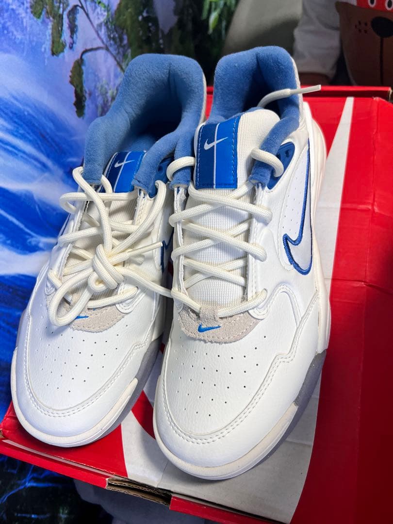 シューズ(男性用) NIKE size 24.5cm