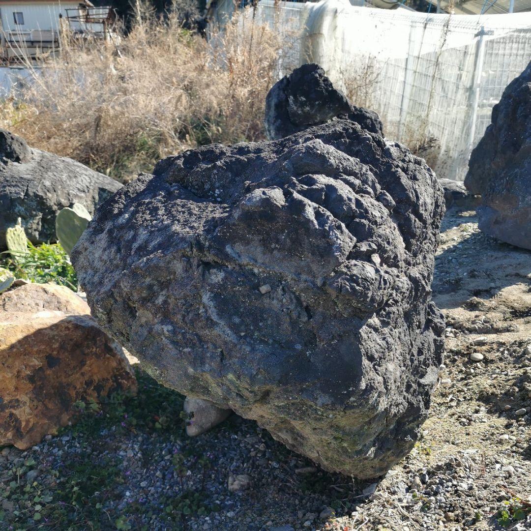 浅間　溶岩石　243キロ　庭石　石　庭　坪庭　ガーデニング　置物　オブジェ