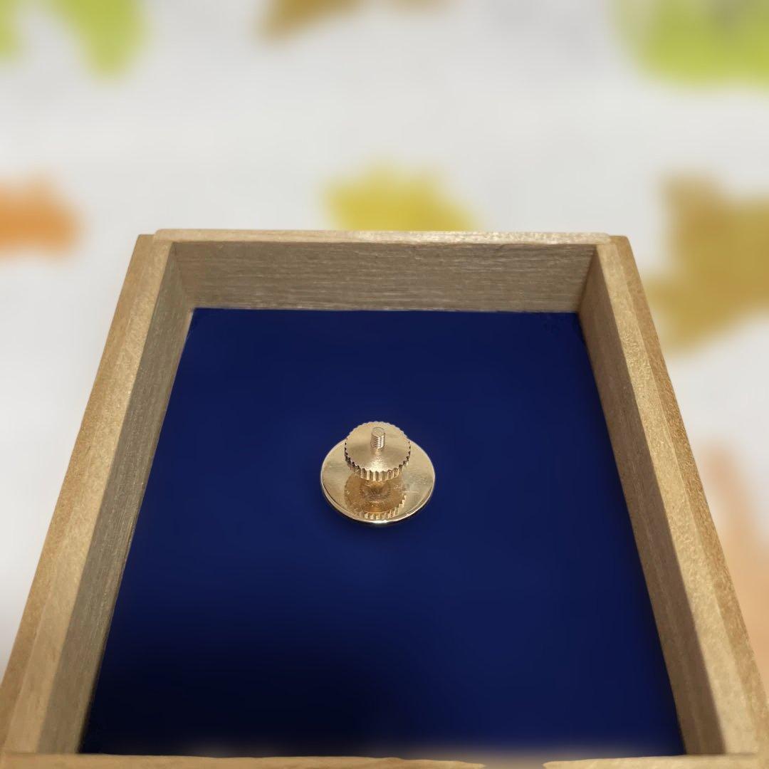 ⭐️極真公式バッチ〔ゴールド✖️オレンジ〕