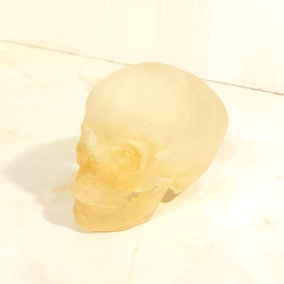 骸骨 置物 オブジェ