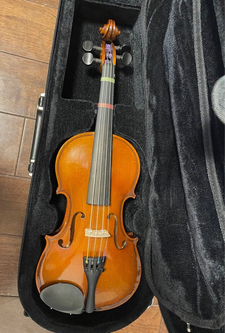 シナモンHORA Reghin 1/4 バイオリン　2022