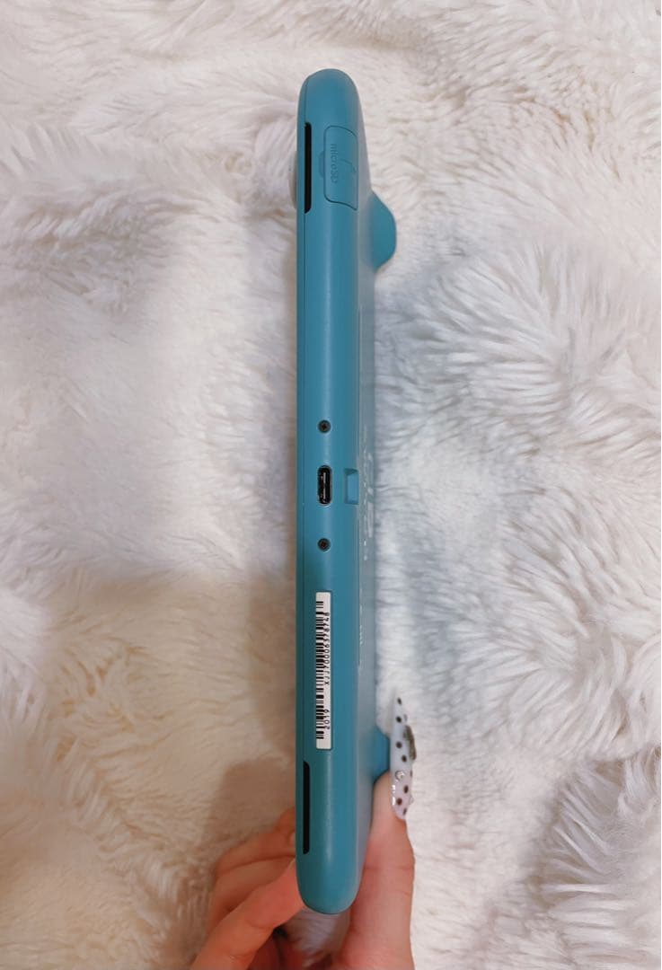 Nintendo Switch Lite 本体＋ケース