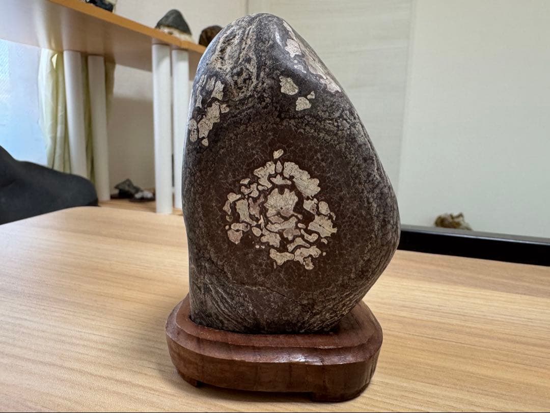 鑑賞石 観賞石 菊花石 花紋石 水石 盆石 自然石 天然石 パワーストーン