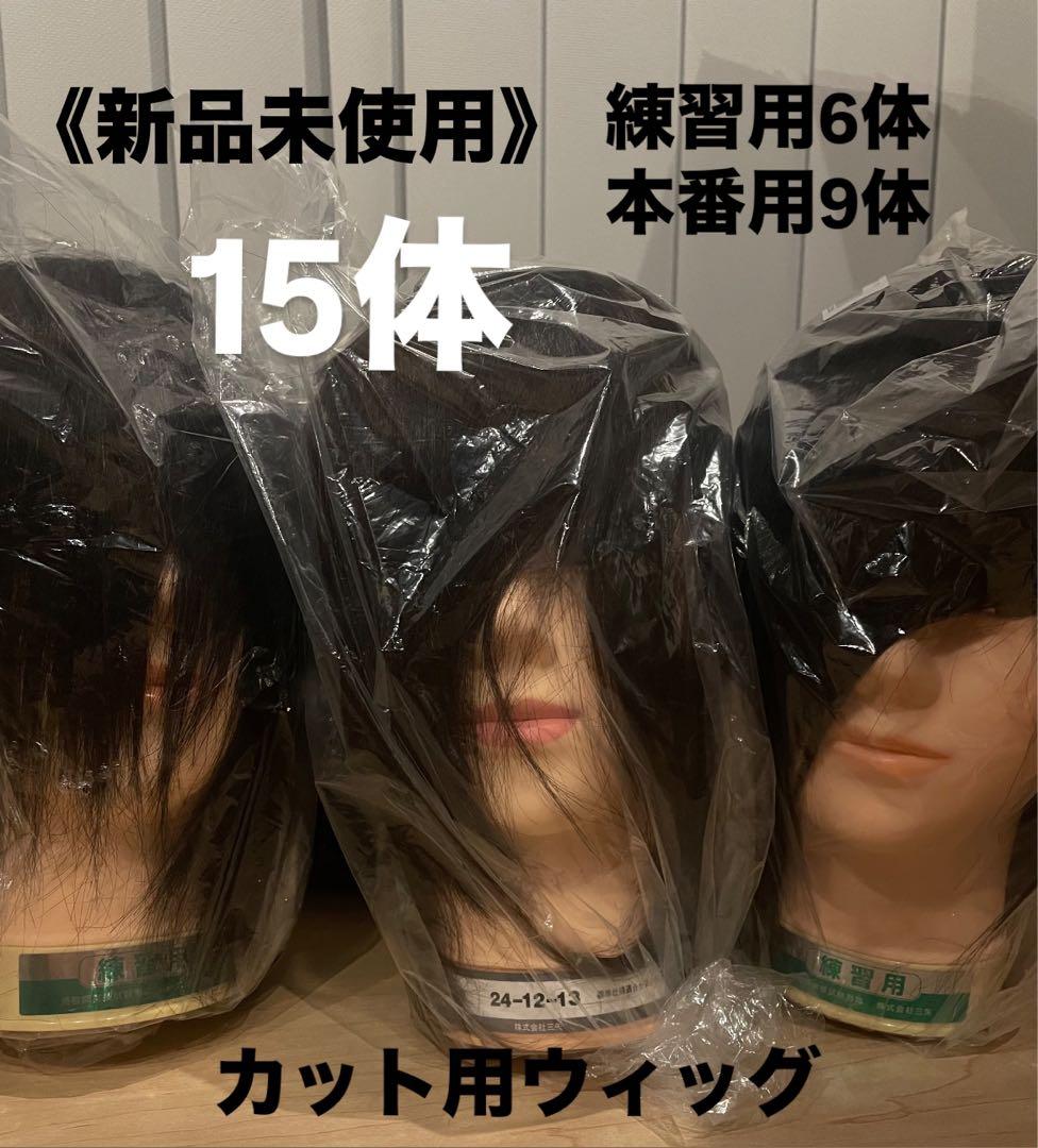 カットウィッグ 15体