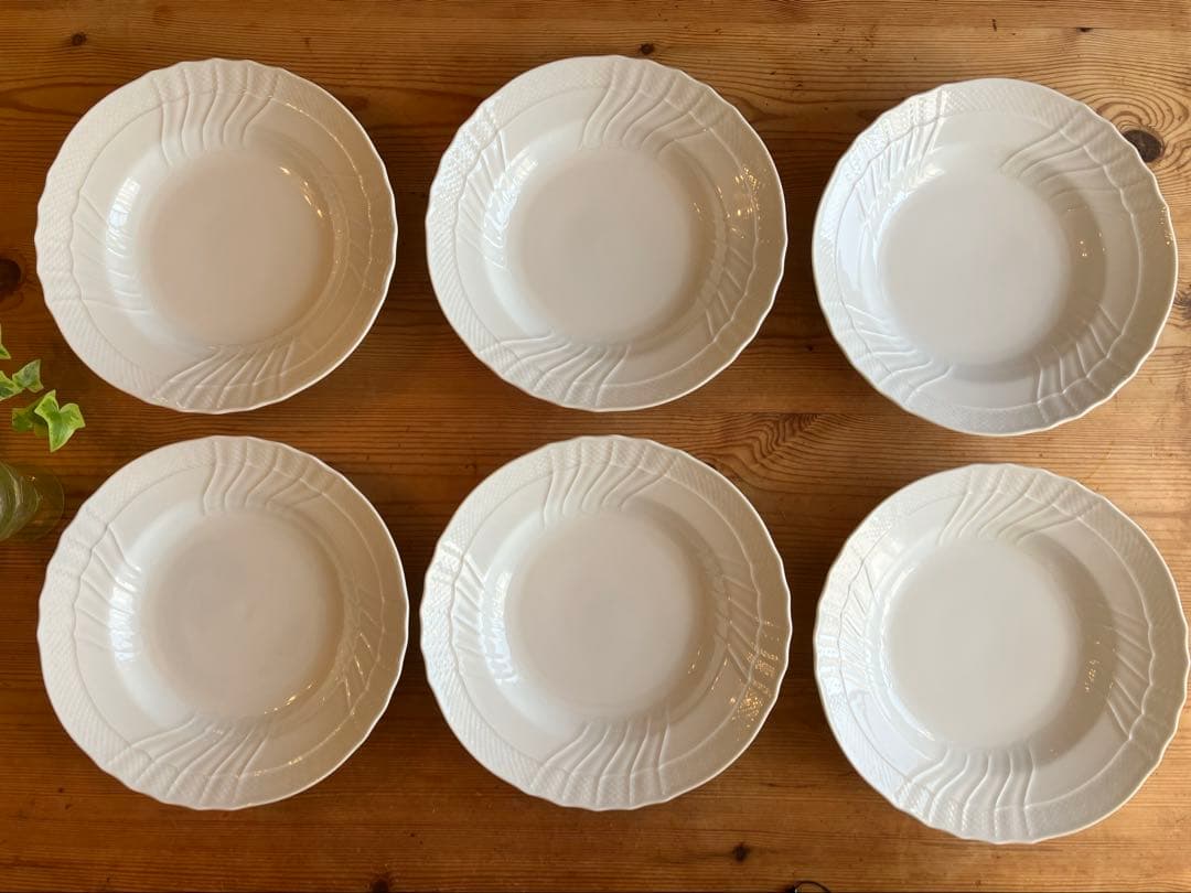 studioMS ジノリ　ベッキオホワイト　23.5スーププレート×6