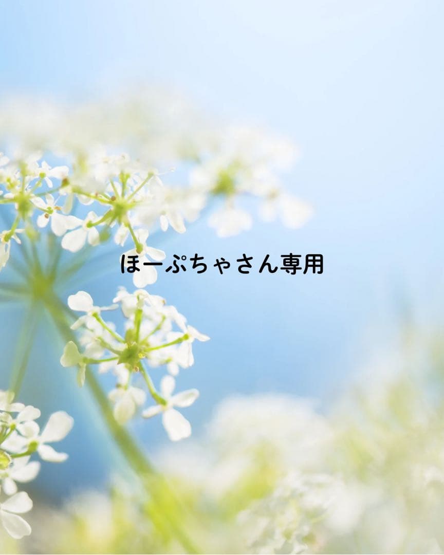 ほーぷちゃさん専用