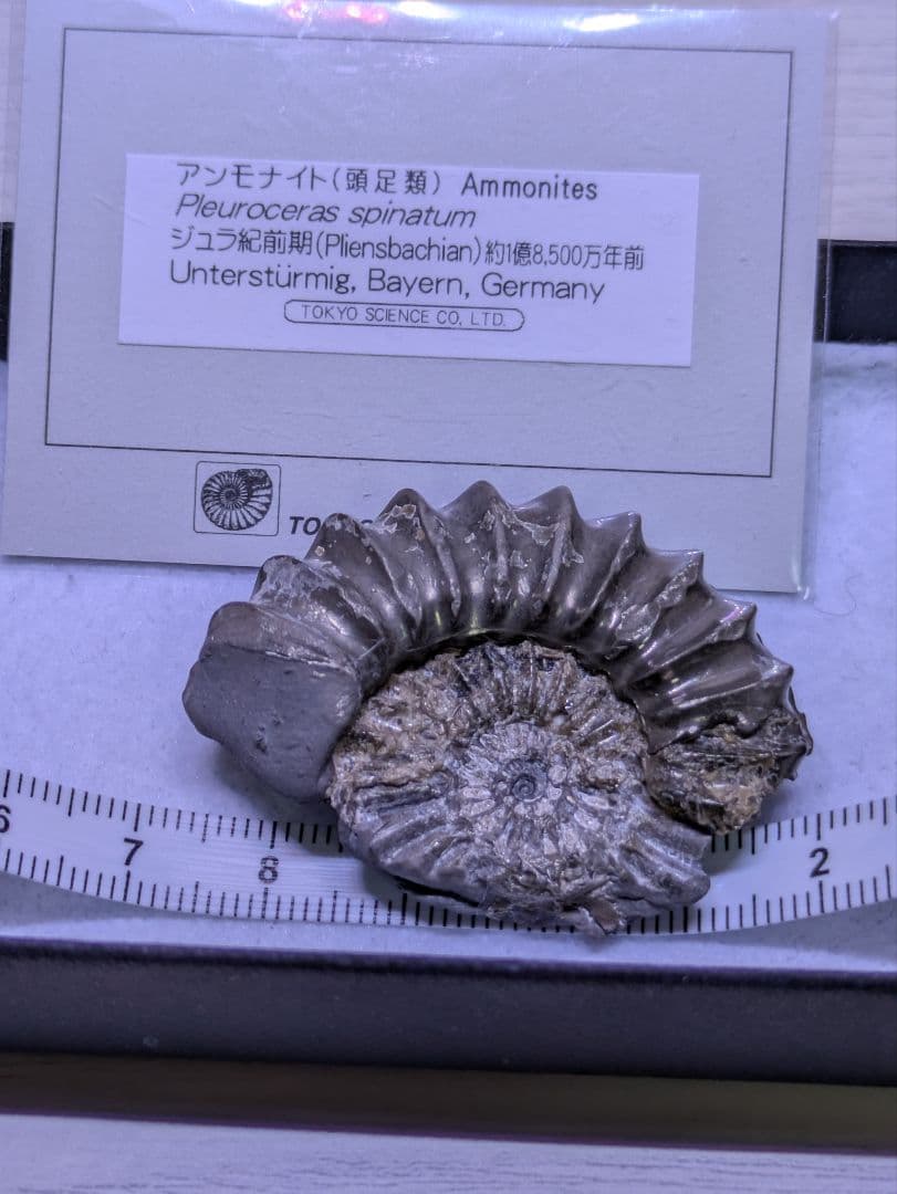 ケンケン　4点セット