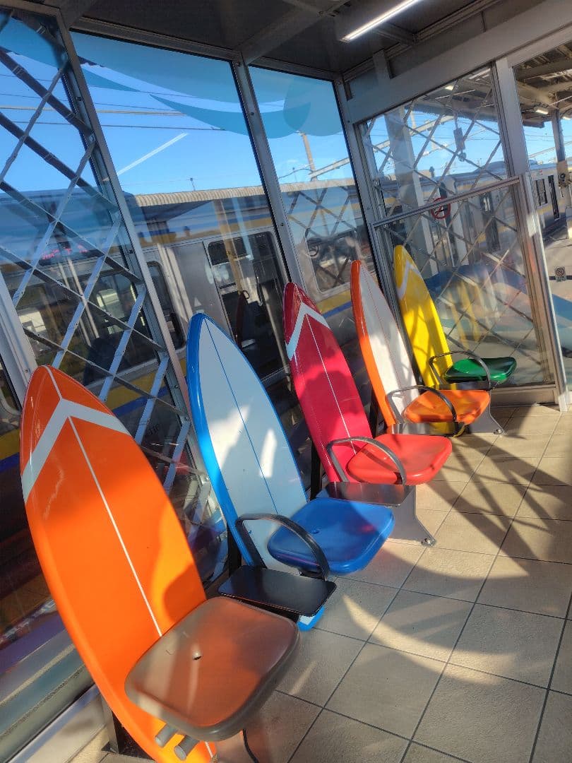 アジュガ　銅葉　（和名はジュウニヒトエ）　抜き苗2～5本