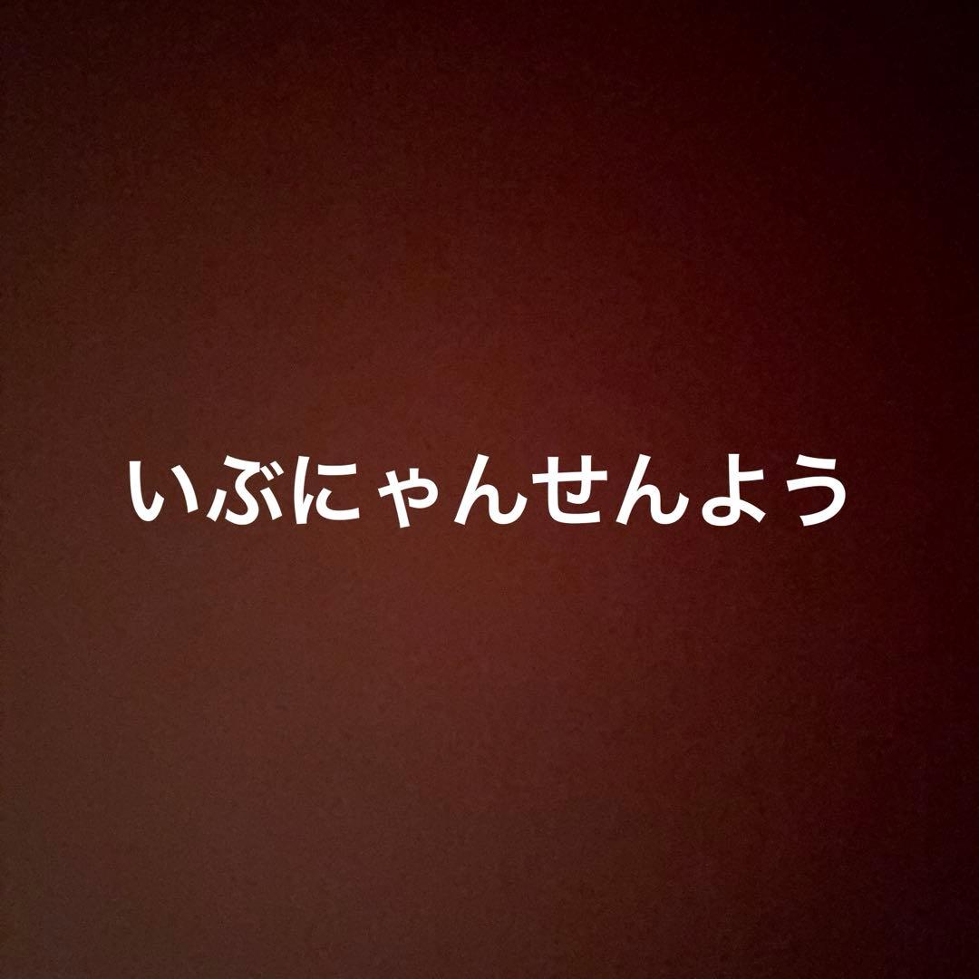 アクセサリー