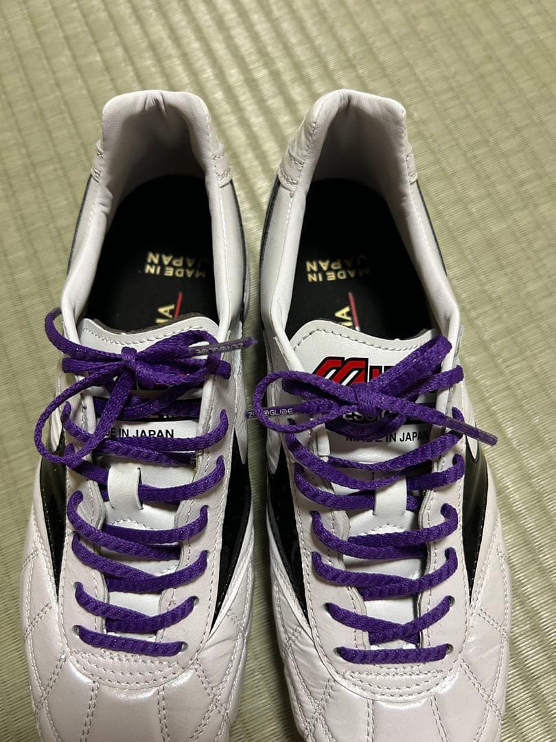 モレリア2 JAPAN クロスステッチ