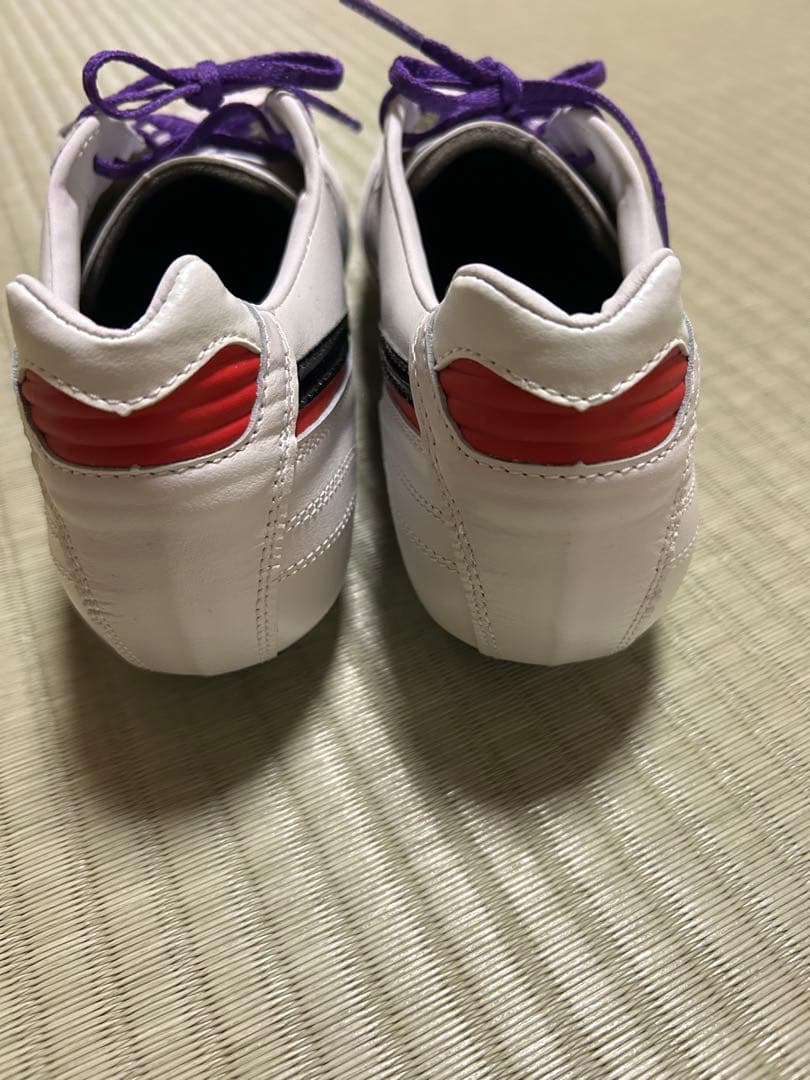 モレリア2 JAPAN クロスステッチ