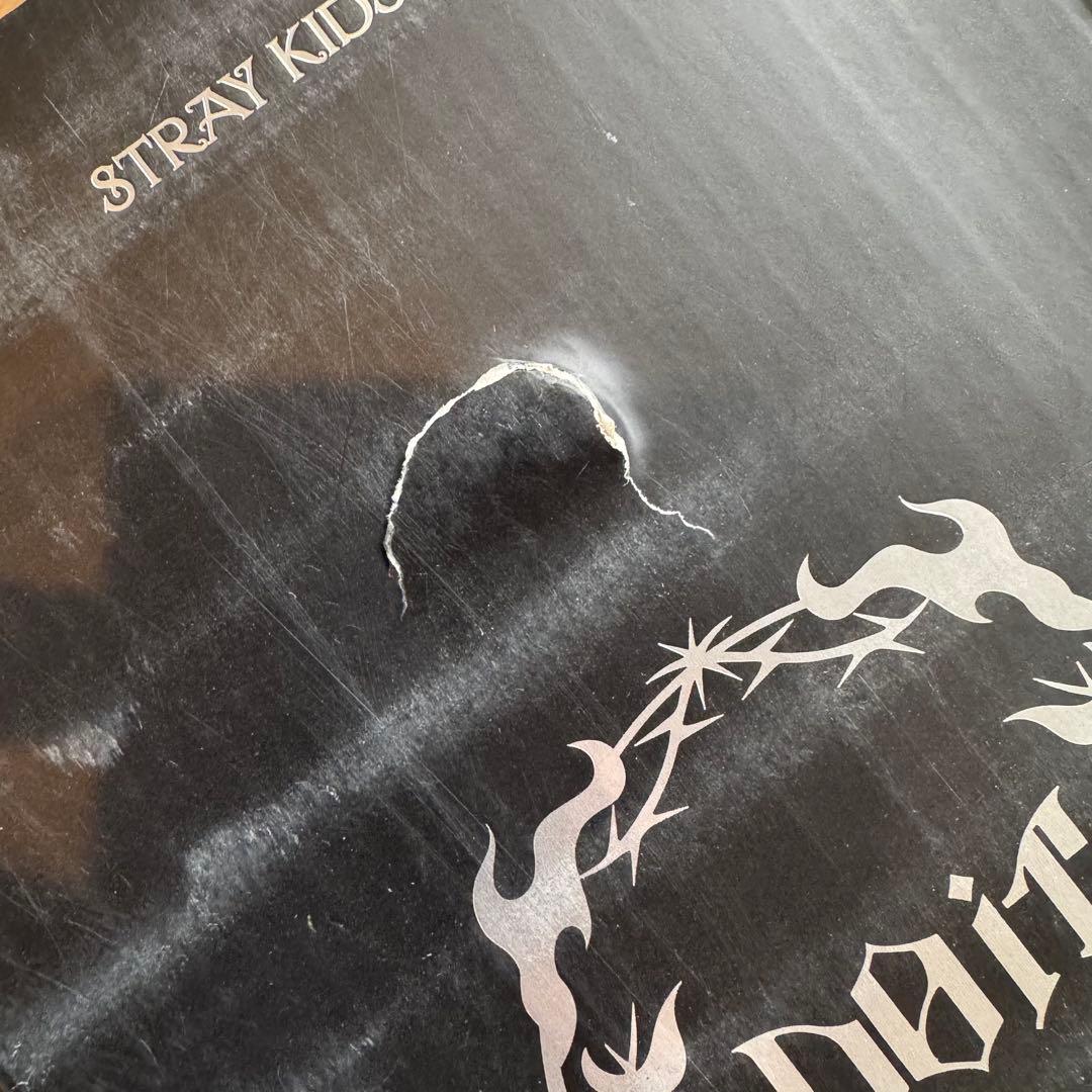 straykids POPUP SKZOOタンブラー　ウルフチャン　バンチャン