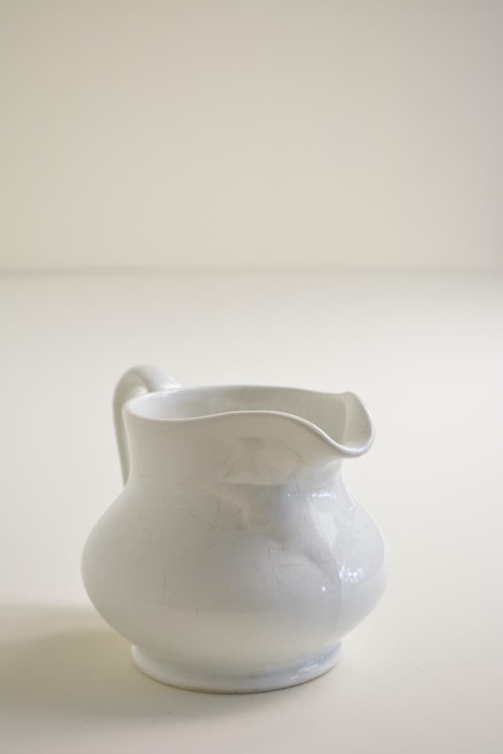 サルグミンヌ ピシェ  フランス