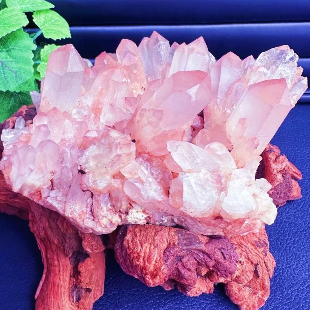 爆アレ❗️可愛いピンク♡超綺麗マダガスカル産パイナップルピンククラスターA1463