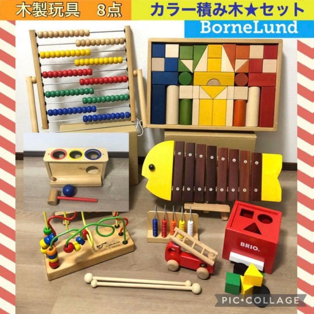 木製玩具　ボーネルンド　カラー積み木　8点セット　おさかな