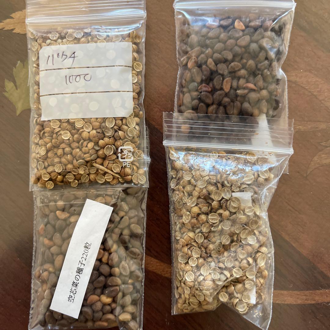 専用　買えません　穀類の種 11534 1000個 4袋セット