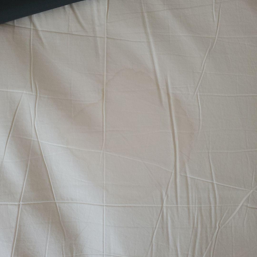 アッシュビー ベージュ ファブリックソファ 木製脚付き