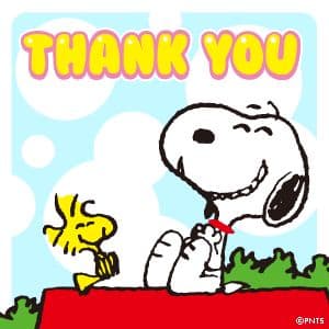 ★えーけん様★専用　新品　6本　モエ・エ・シャンドン 　ネクター・アンペリアル