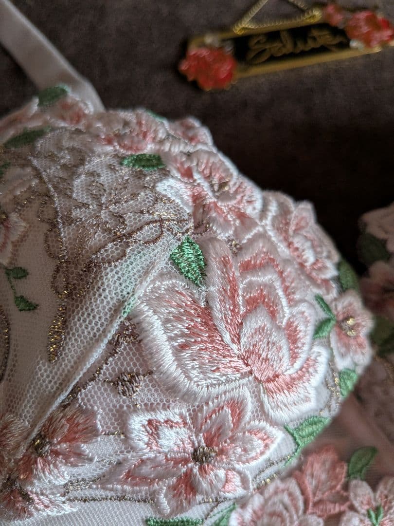 Salute 、16グループP−UPブラジャーC80サイズ完売品。