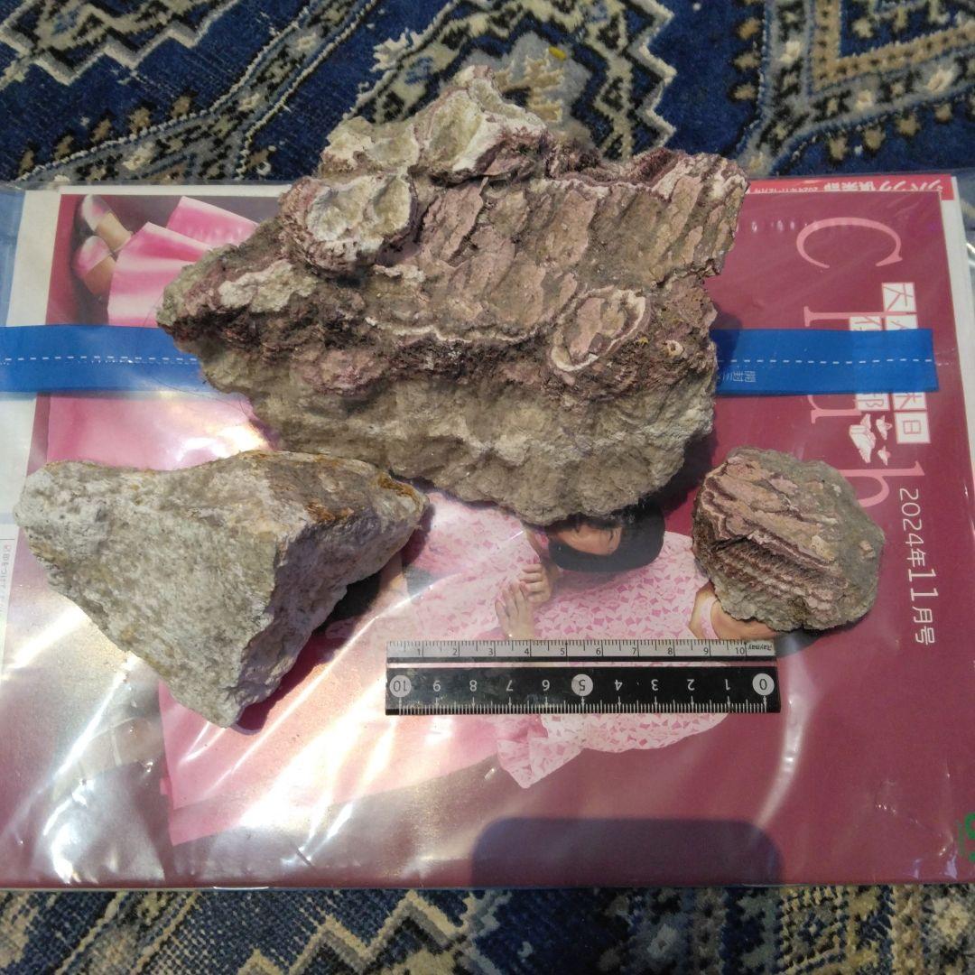 青森県恐山熱水噴出口沈殿鉱物