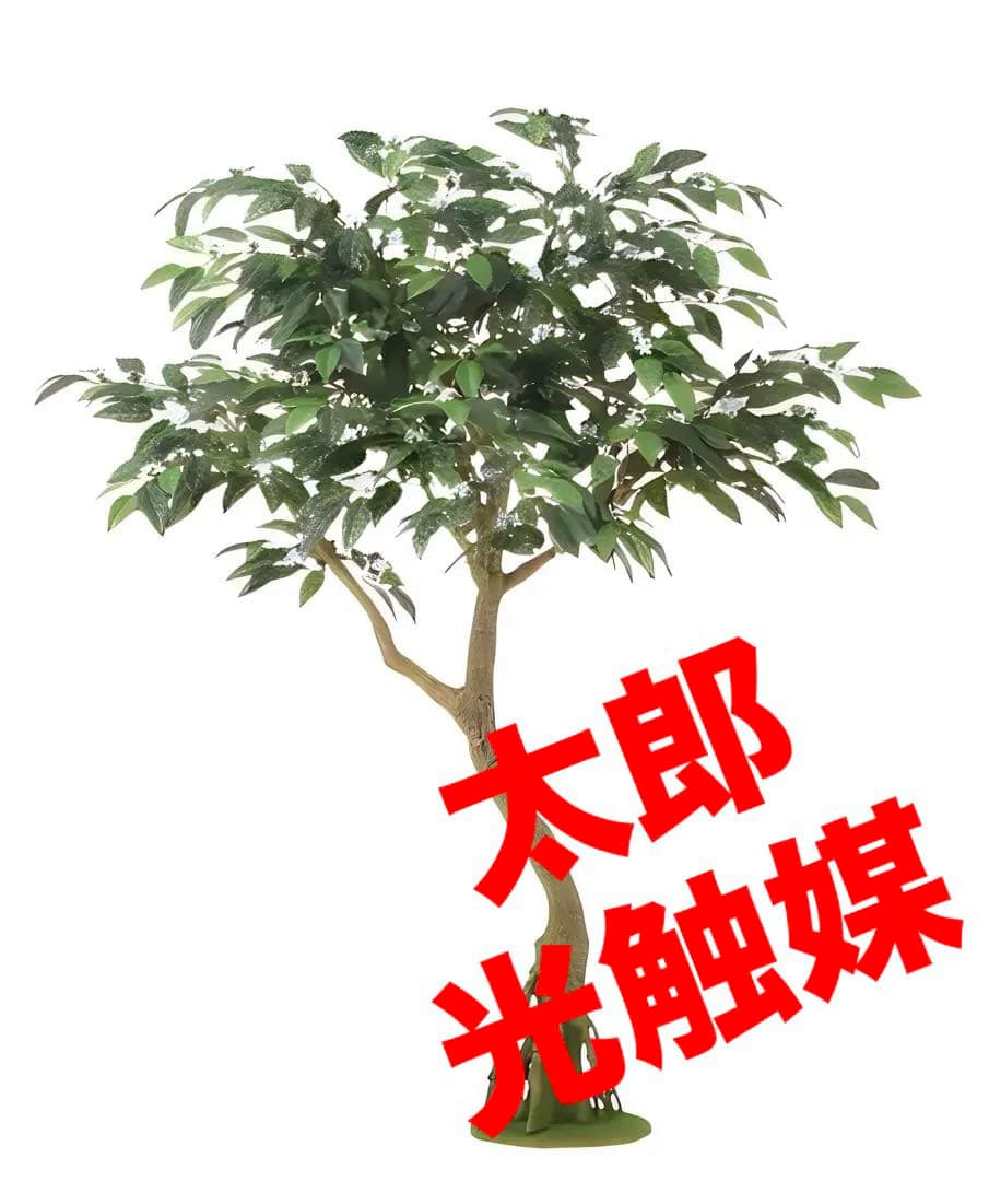 光触媒　人工観葉植物　フェイクグリーン　コーヒー コアッド(本体のみ) 200