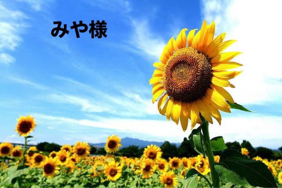 みや様