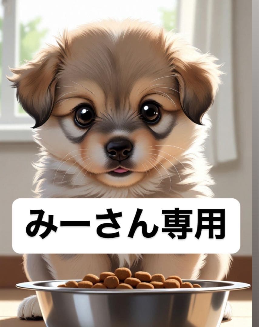 みーさま専用