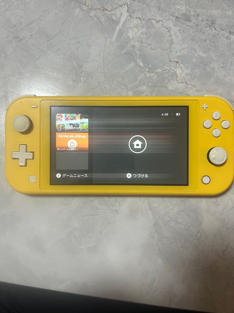 Switchライト本体（ジャンク品）