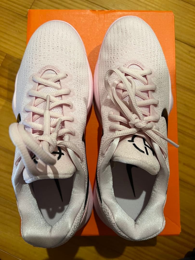 Nike ハイパーダンク2017 26cm