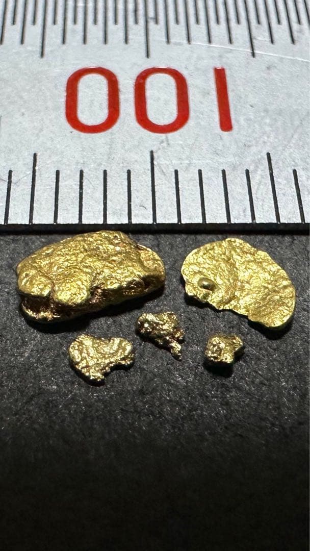 砂金　中粒　観賞・資料用