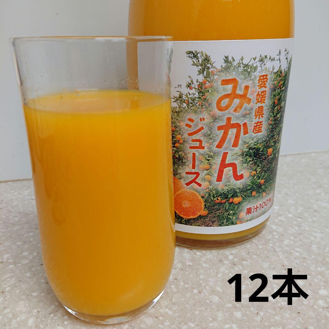 愛媛県産みかんジュース 720ml 12本セット