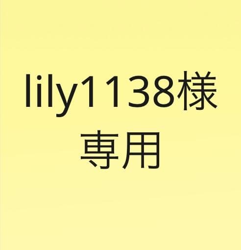 【専用】頑丈＆多機能「小上がりベッド」 シングル オークホワイト ひだまり