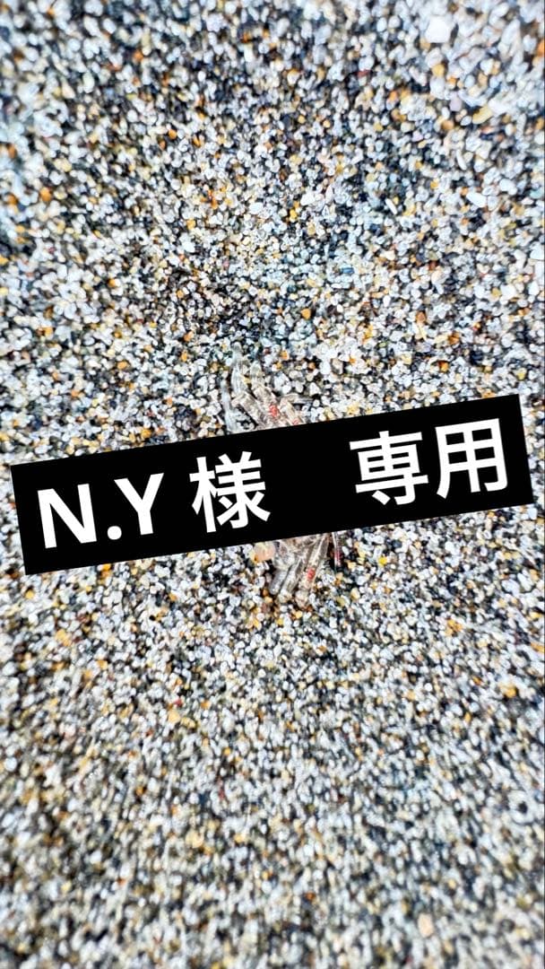 N.Y　スピーカー LED機能付き