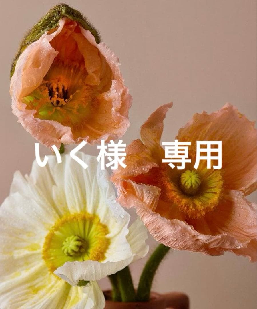いく　サロペット　38