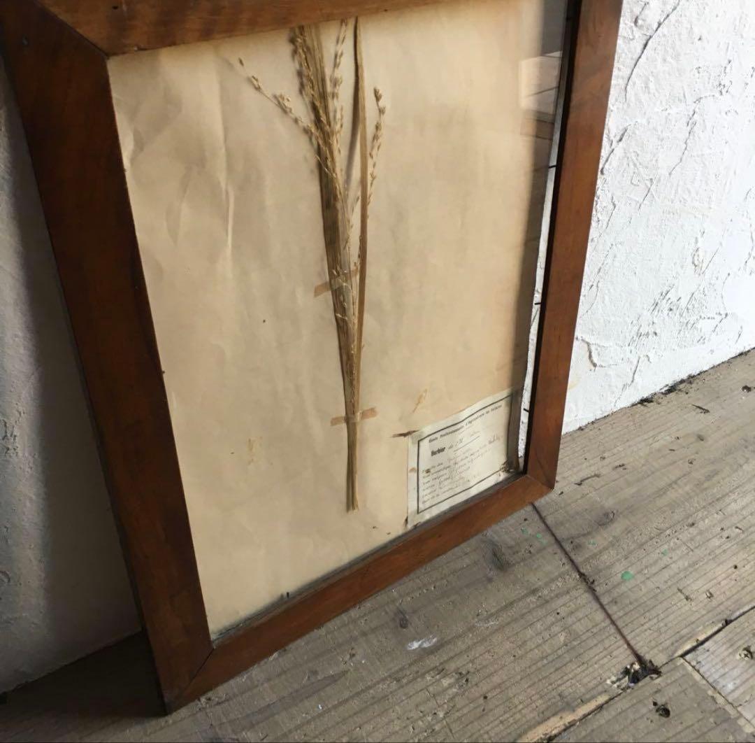 フランスアンティークフレーム、鏡二点セット