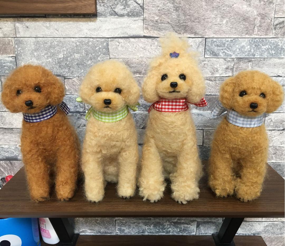 たまにオリジナルトイプードル産みます。