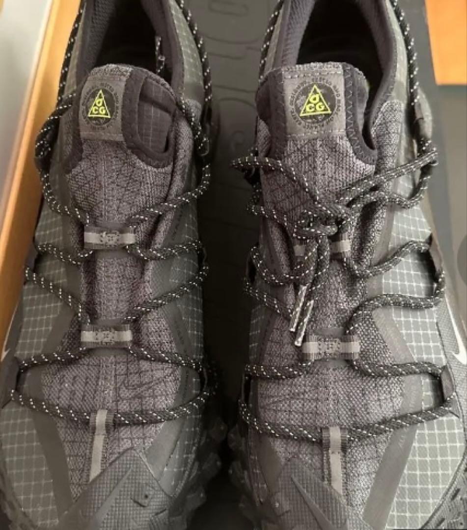 靴 NIKE ACG MOUNTAIN FLY LOW GTX SE 29.0