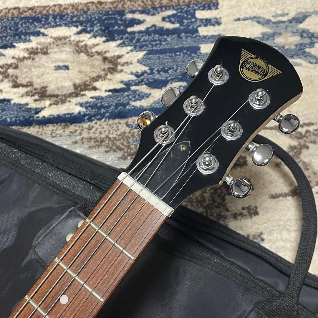 Pignose PGG-200 ブルー 純正ケース付き ピグノーズ ZO-3