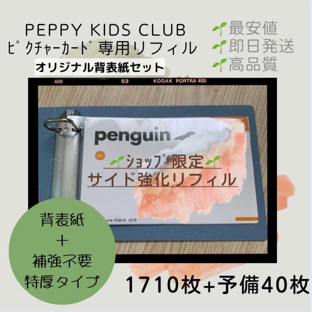 ◎最安値出品！ ペッピーキッズ ピクチャーカード 収納袋 背表紙＆リフィル